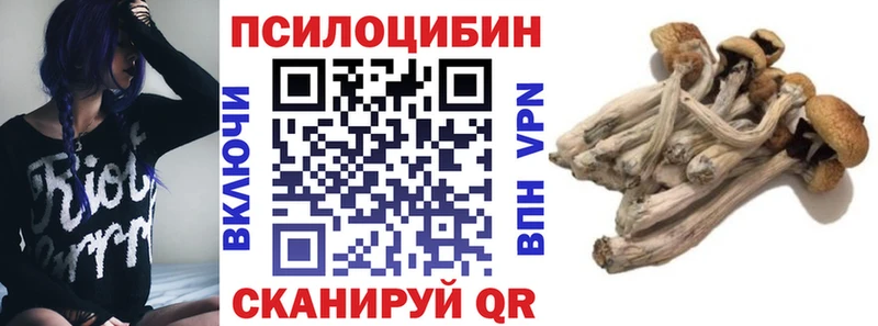 darknet телеграм  Сурск  Галлюциногенные грибы Psilocybe  купить  